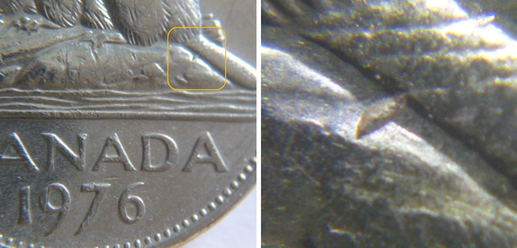 5 Cents 1976-Éclat de coin sous la queue.JPG