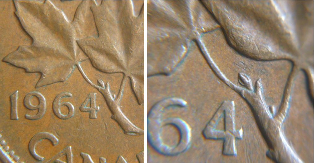 1 Cent 1964- Le bourgeon se préparer enfin a ouvrir-1.JPG