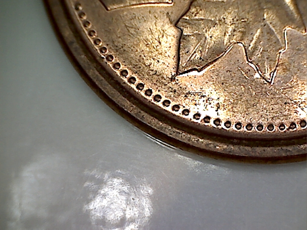2008 MRC Éclat au bout feuille de ga. B019260C.jpg
