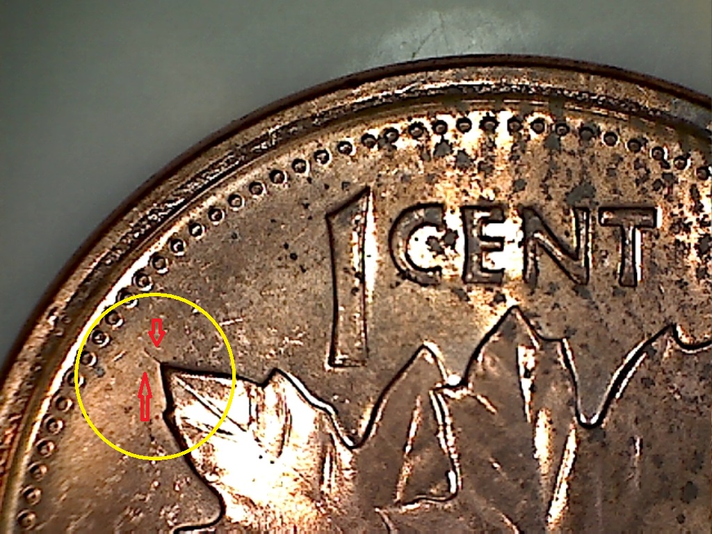 2008 MRC Fendillé au bout feuille de ga. B019254B.jpg