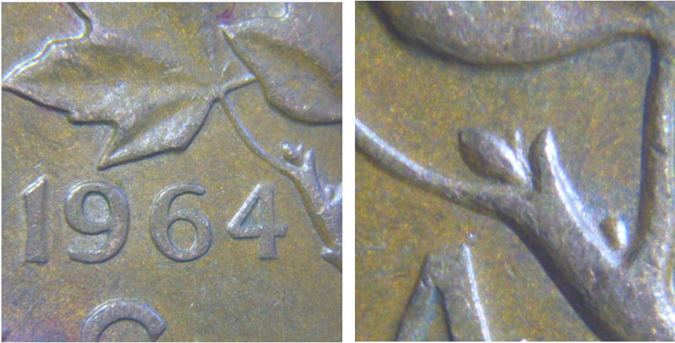 1 Cent 1964- Une épine ou un bourgeon extra-1.JPG