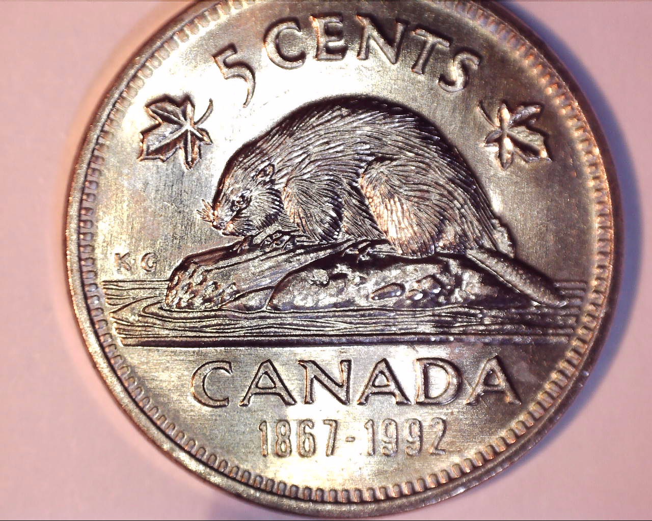 191115120325775.jpg