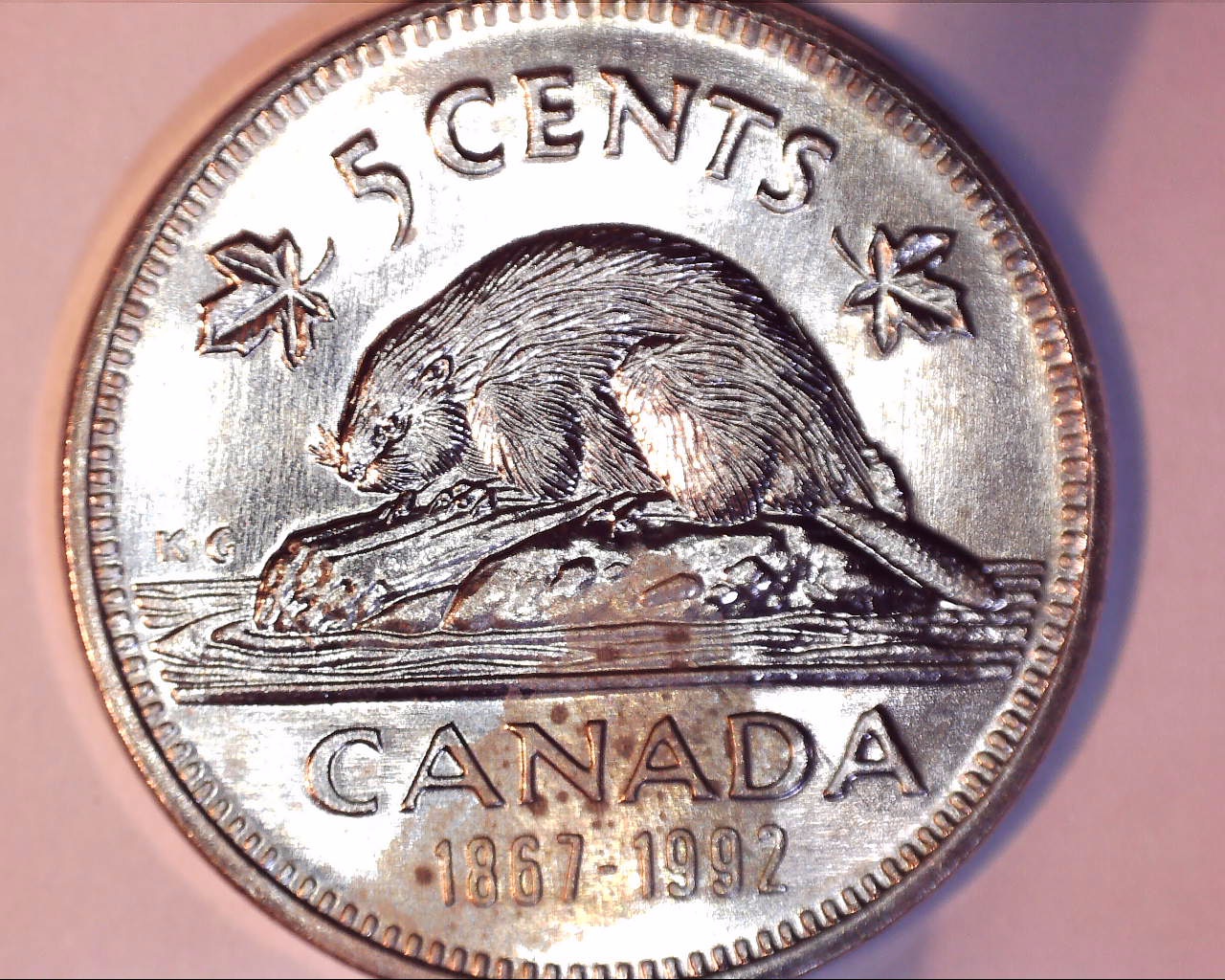 191115120423605.jpg