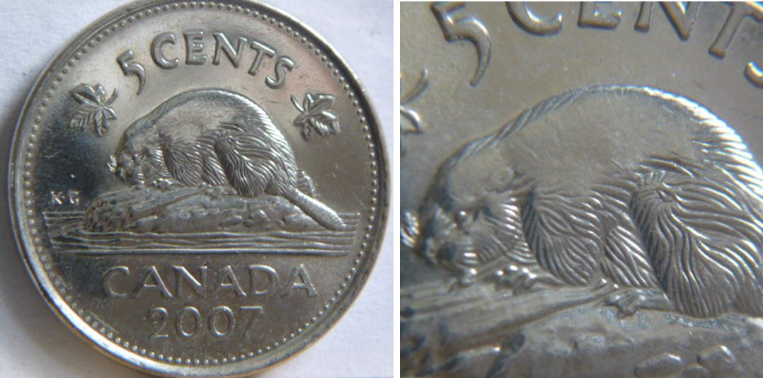 5 Cents 2007- Dos du castor obturé-1.JPG