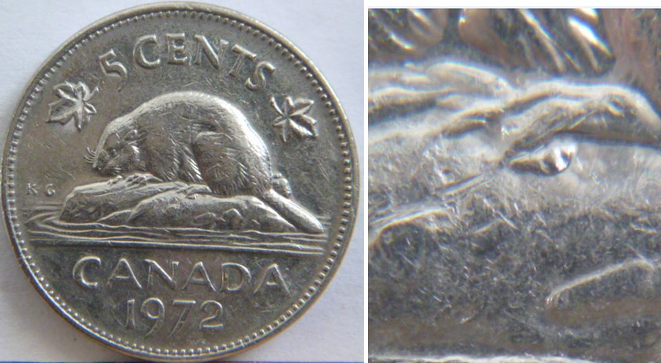 5 Cents 1972-Éclat du coin près patte arrière.JPG