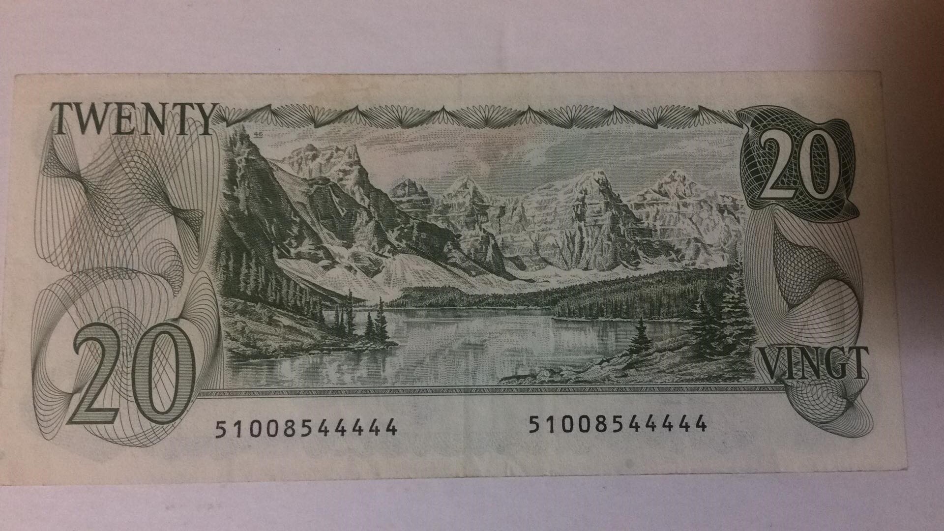 78158989_2622597017860963_6977521457249124352_n.jpg