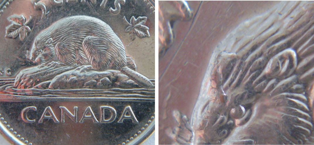 5 Cents 2002-Éclat coin sur tête du castor-1.JPG