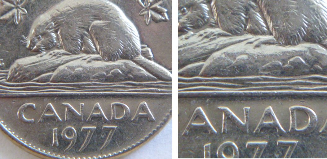 5 Cents 1977 H -Dommage du coin sous le castor-1.JPG
