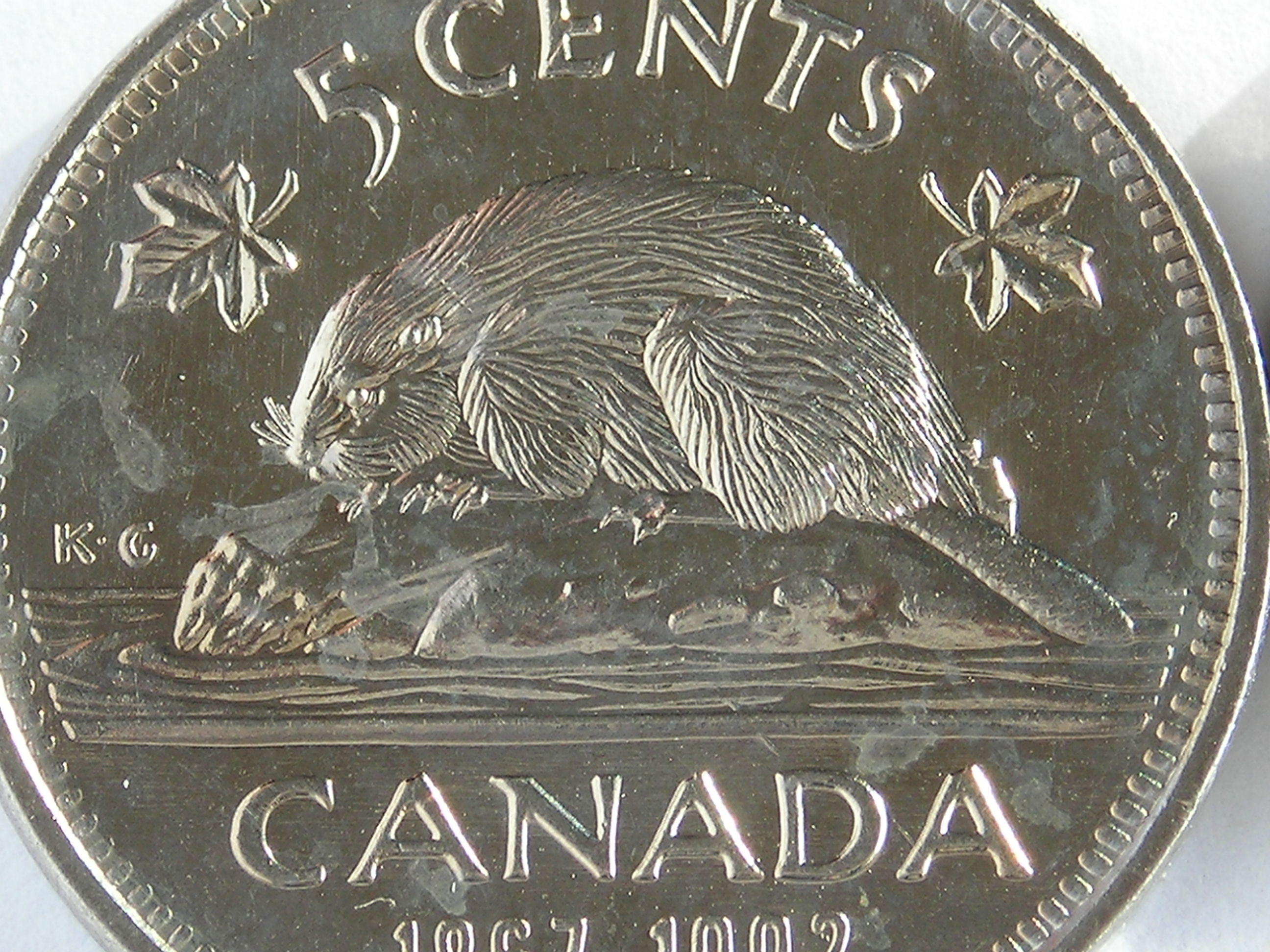 DSCN6249.JPG