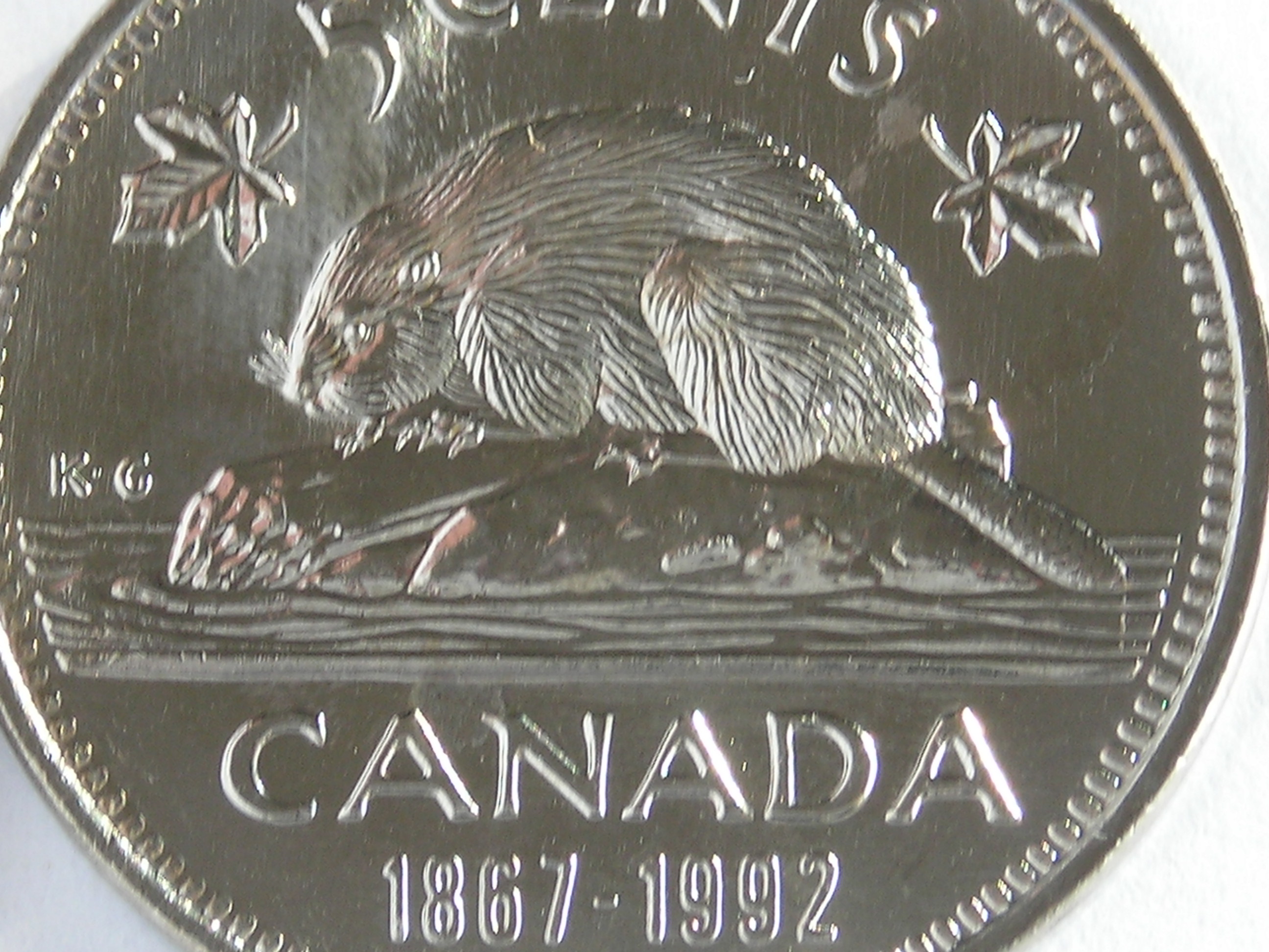 DSCN6250.JPG