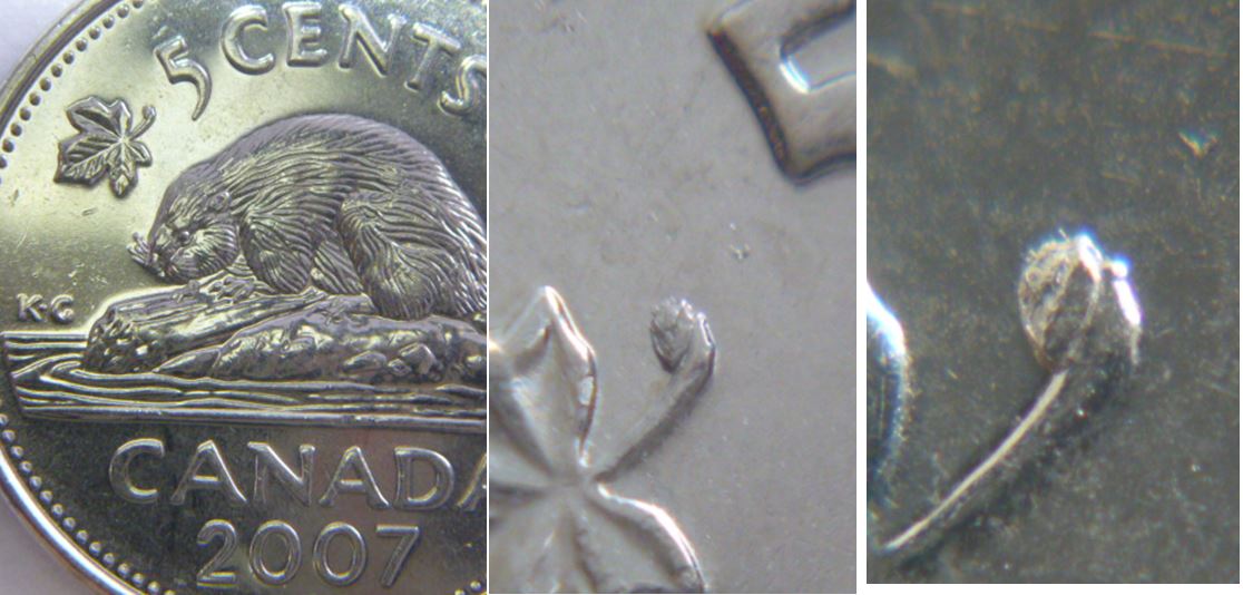 5 Cents 2007-Éclat coin a la tige de la feuille gauche.JPG