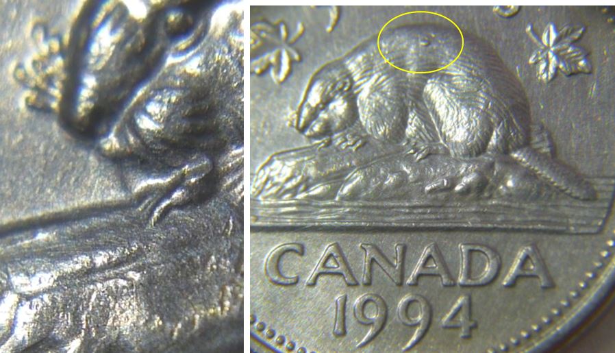 5 Cents 1994-Entrechoqué bouche du castor-Éclat coin sur le dos.JPG