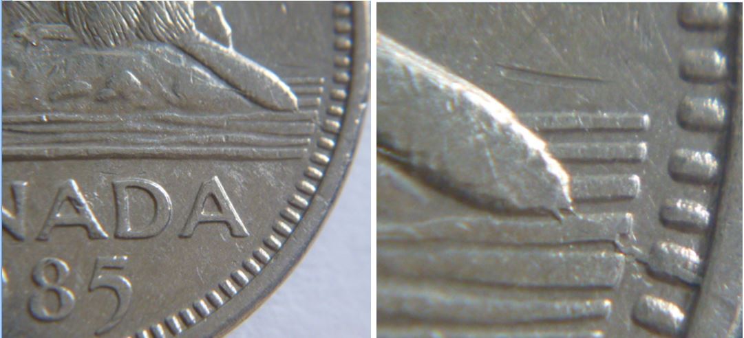 5 Cents 1985-Coin fendillé sous le castor - bout de sa queue-1.JPG