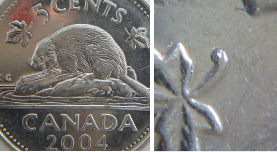 5 Cents 2004p-Éclat coin au bout tige de la feuille gauche.JPG