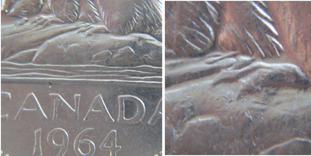 5 Cents 1964- Deux belle éclat coin sous le ventre du castor-2.JPG