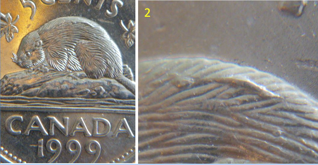 5 Cents 1999-Éclat coin sur le dos du castor.03.JPG