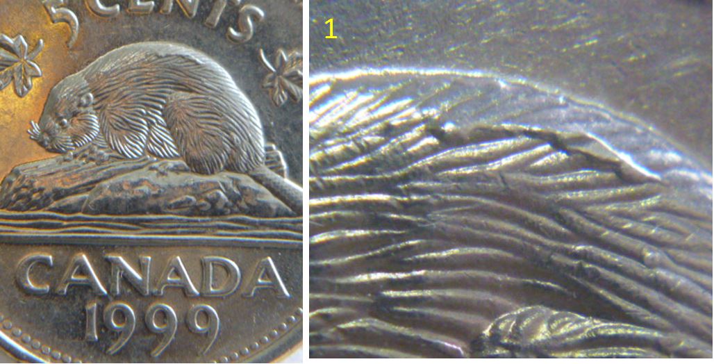 5 Cents 1999-Éclat coin sur le dos du castor-03.JPG