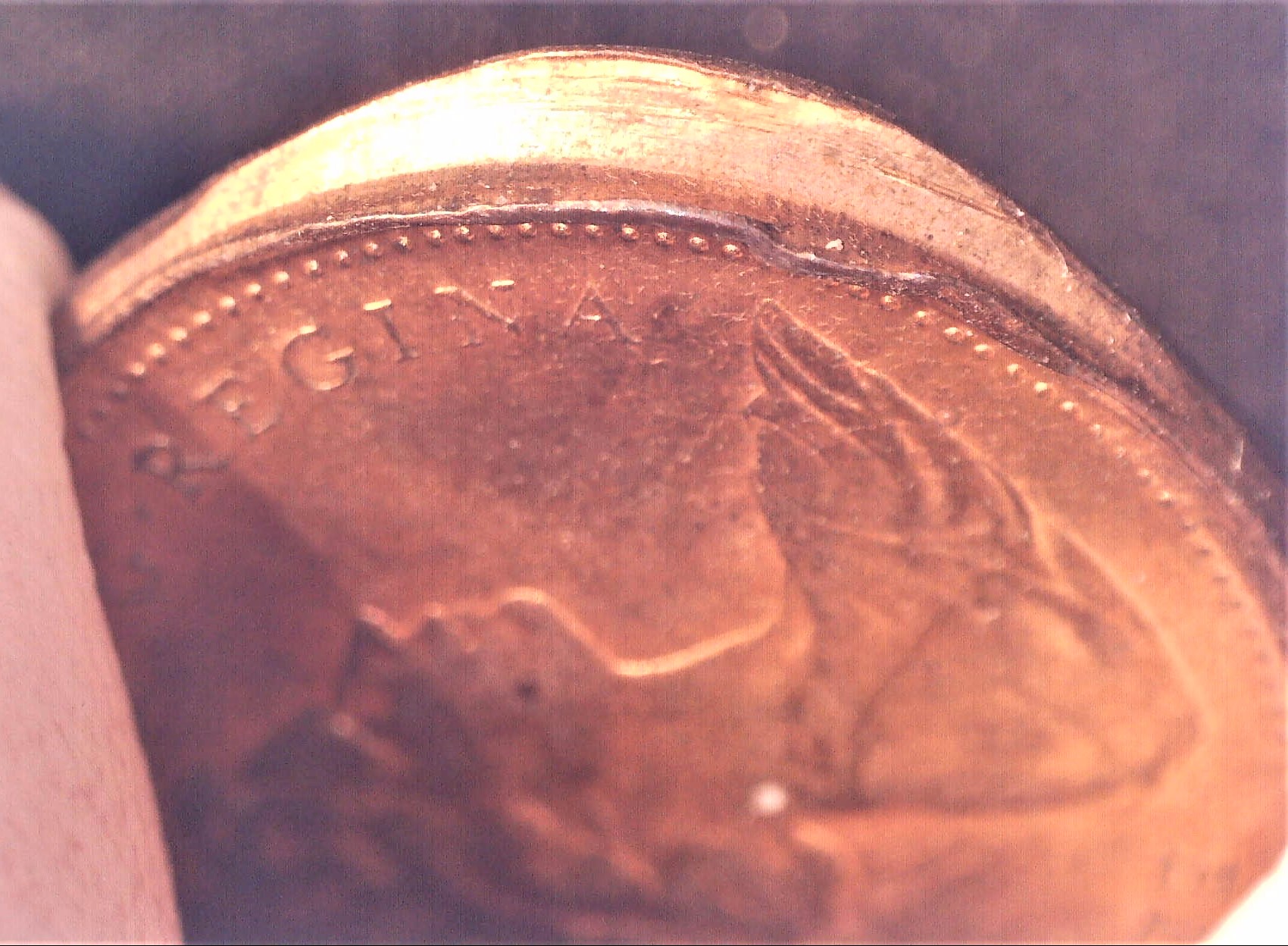 0129 E31.1 1c 1977 Edge_1.jpg
