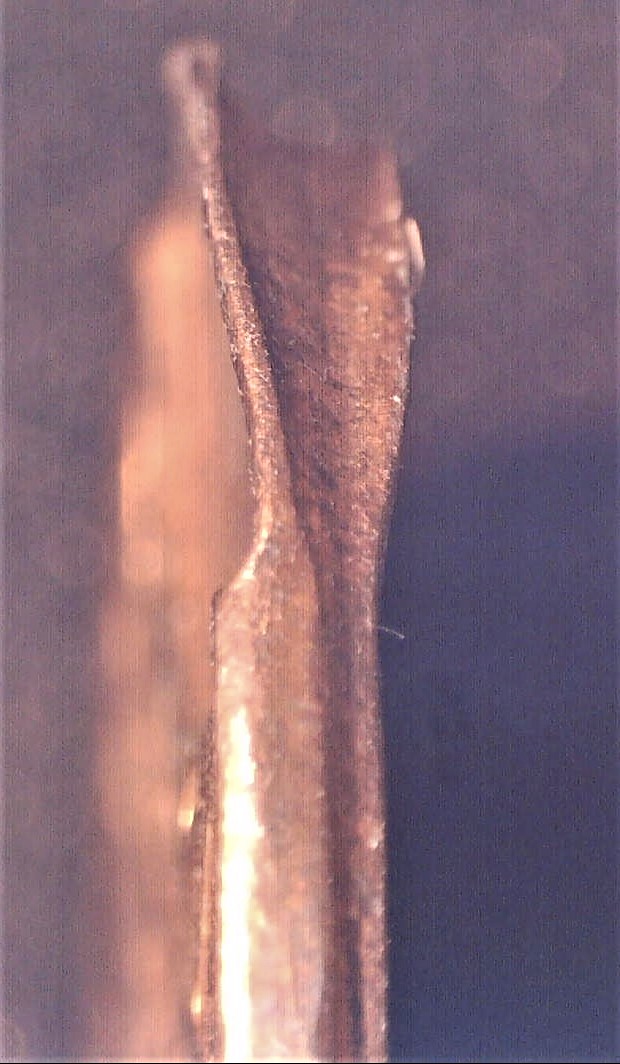 0129 E31.1 1c 1977 Edge_2.jpg