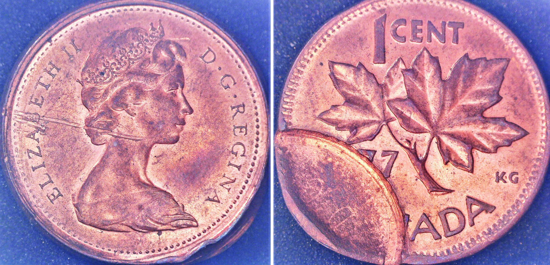 0129 E31.1 1c 1977 montage_1.jpg