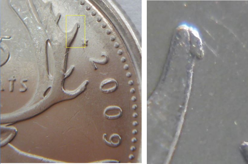 25 Cents 2009-Éclat coin sur le panache.JPG