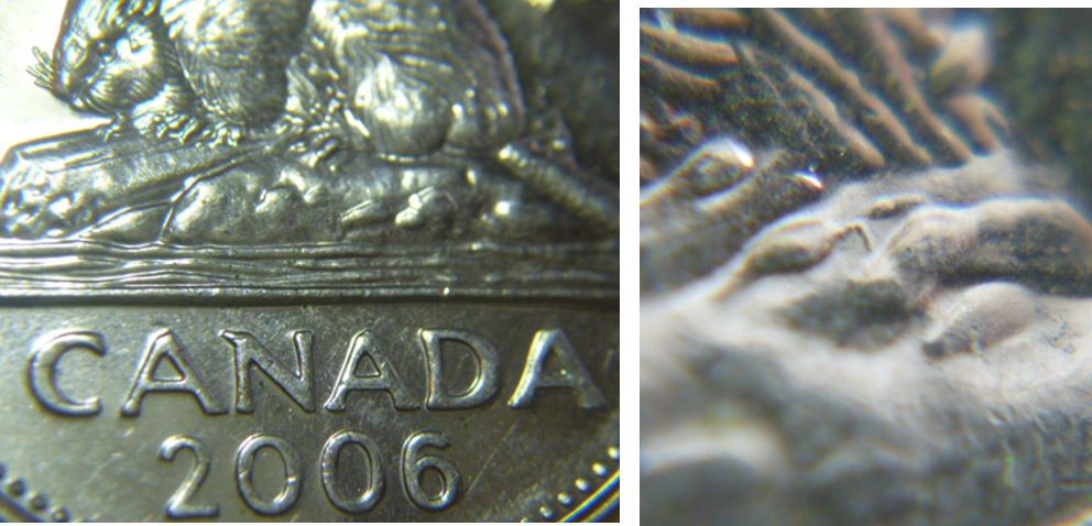 5 Cents 2006-Petit dommage coin patte arrière -1.JPG