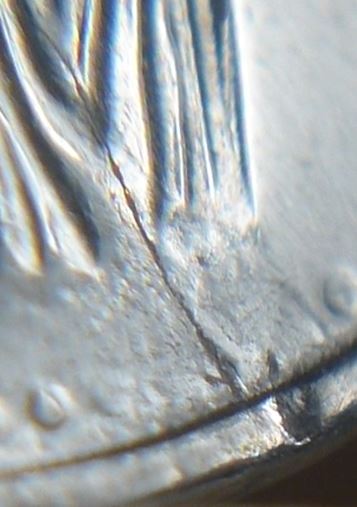 5 Cents 2007-Coin fendillé devant la buche-4.JPG