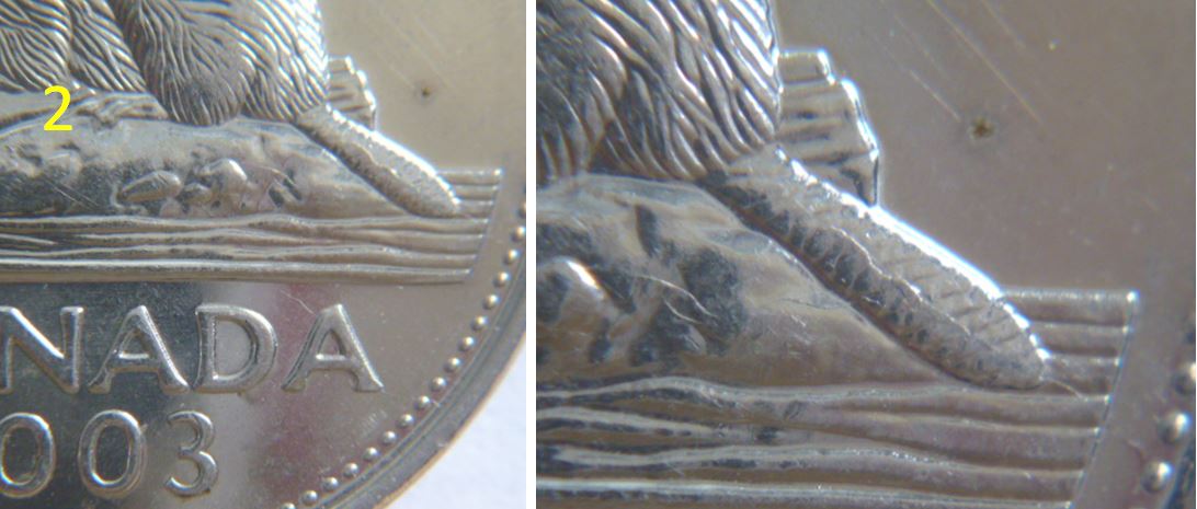 5 Cents 2003p-Coin fendillé sur la queue du castor-01.JPG