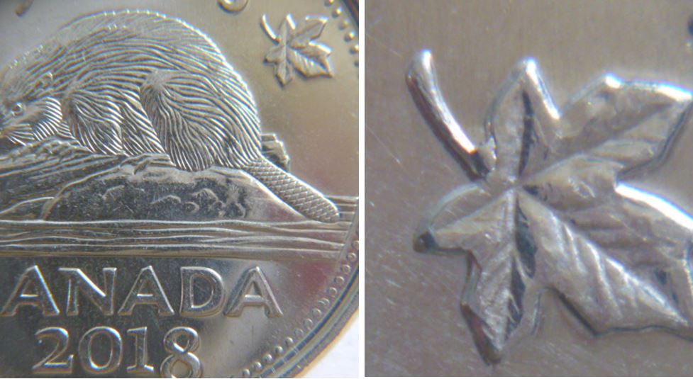 5 Cents 2018-Éclat coin sur feuille droite-1.JPG