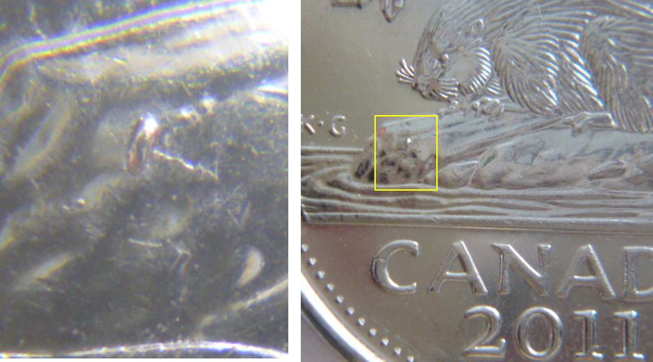 5 Cents 2011-Éclat coin derrière la buche.1.JPG