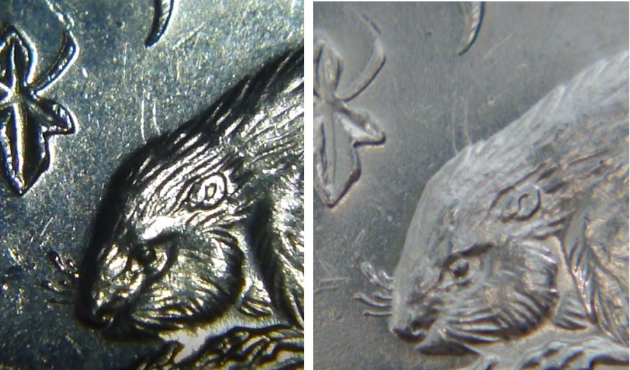 5 Cents 1965-Double entrechoqué sur tête du castor -Doublage coté revers-2.JPG