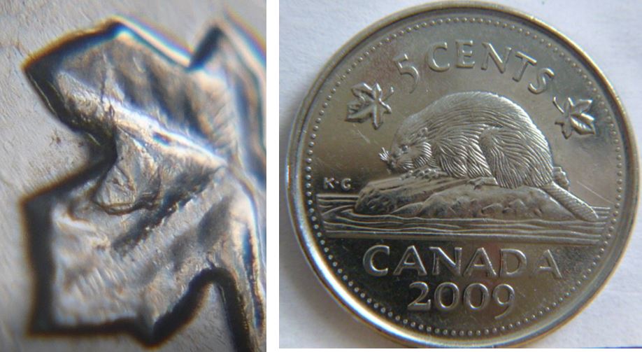 5 Cents 2009-Éclat coin sur feuille gauche.JPG