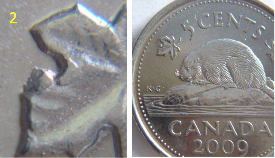5 Cents 2009-Éclat coin sur feuille gauche.02.JPG