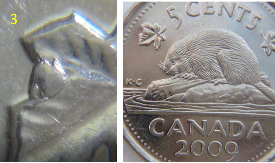 5 Cents 2009-Éclat coin sur feuille gauche.03.JPG