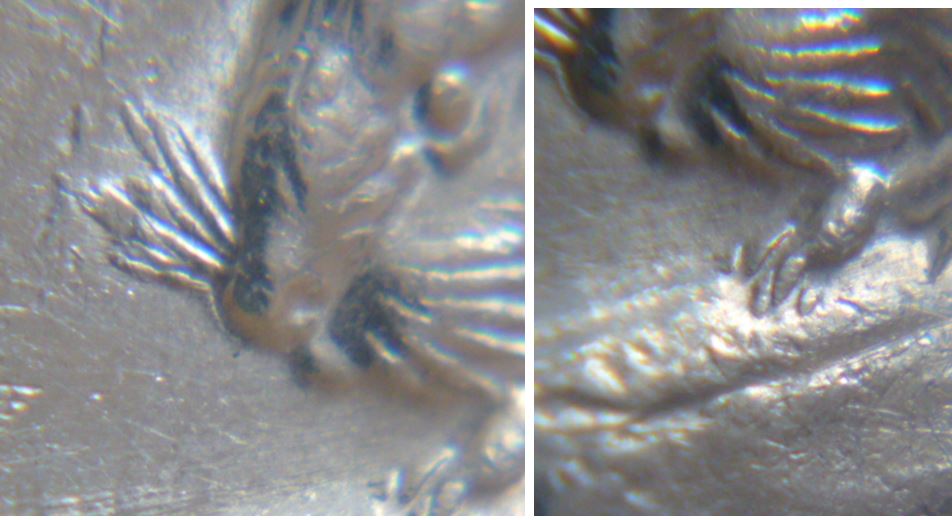 5 Cents 1989-double coté gauche du revers.2.JPG