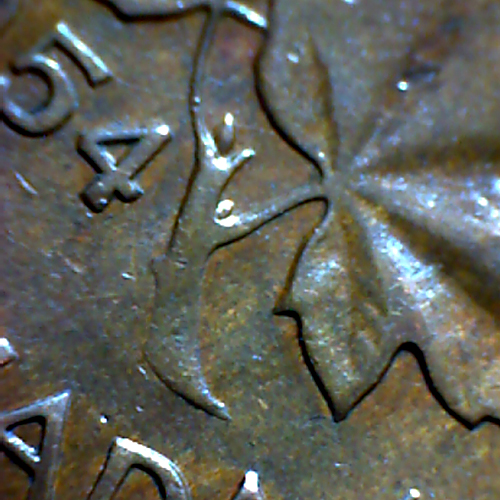 1954tige.jpg