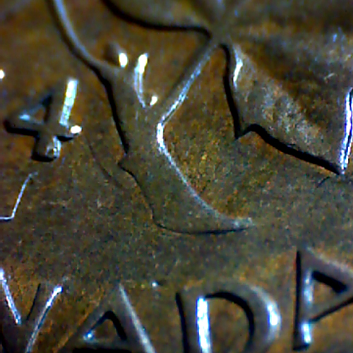 1954tige1.jpg