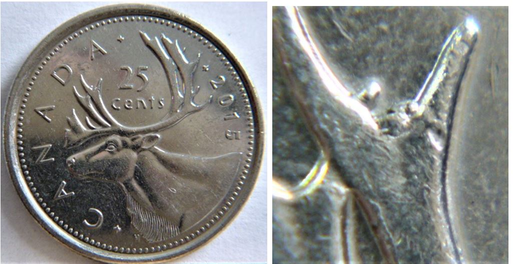 25 Cents 2015-Éclat du coin entre les bois de l'élan.JPG
