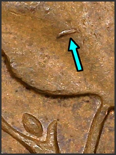 Web 1958.jpg