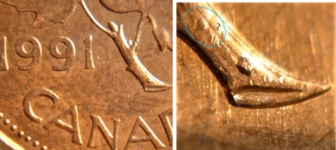 1 Cent 1991-Éclat du coin sur la branche-2.JPG