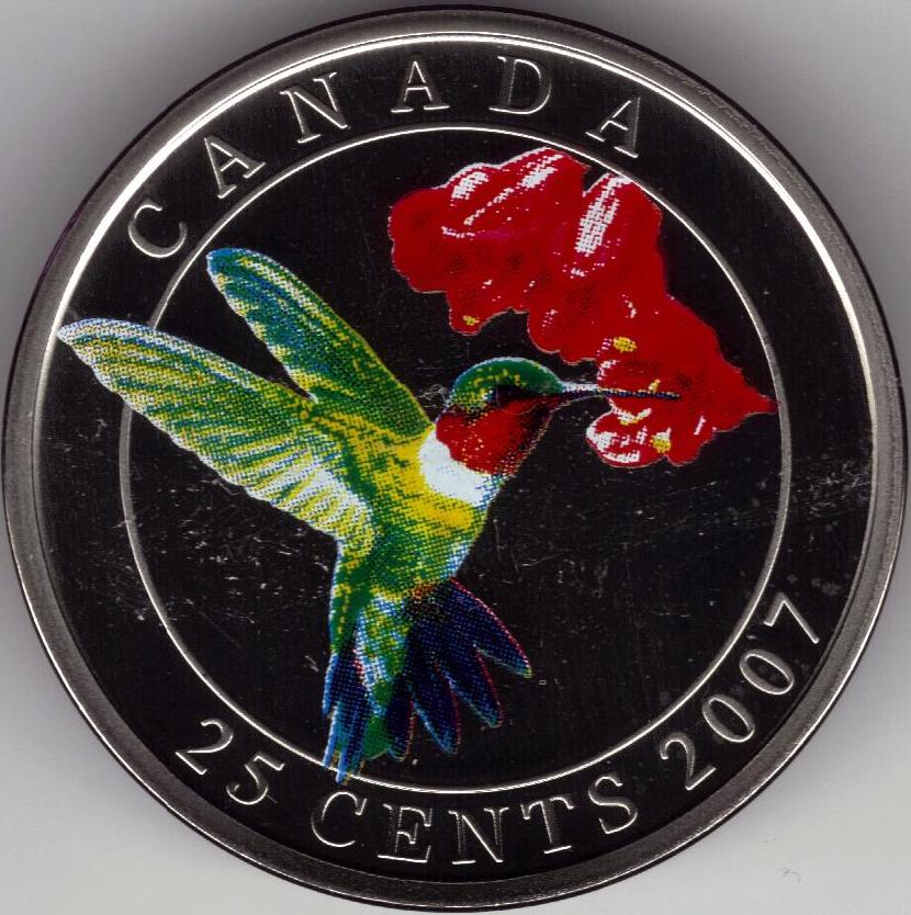 colibri.JPG