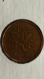 image1.png