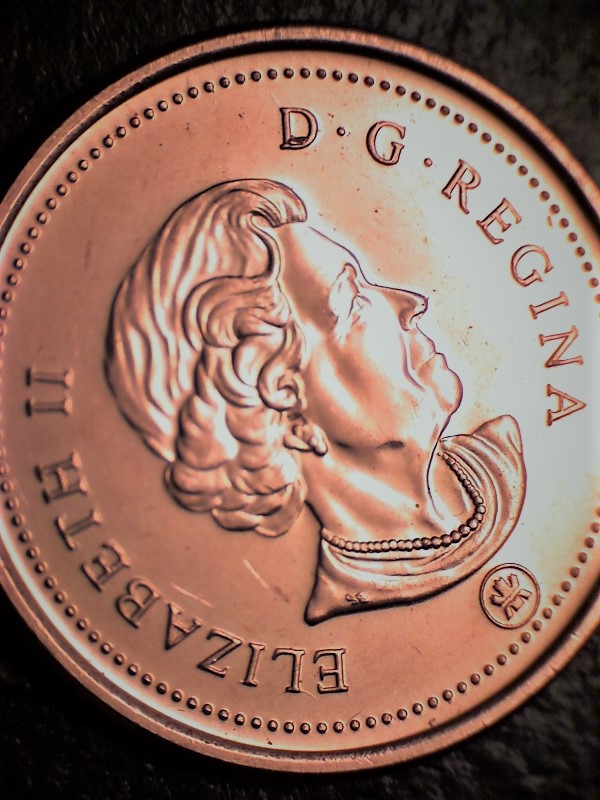 18921.jpg