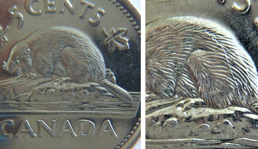 5 Cents 2002p-Coin fendillé sur le dos du castor.2.JPG
