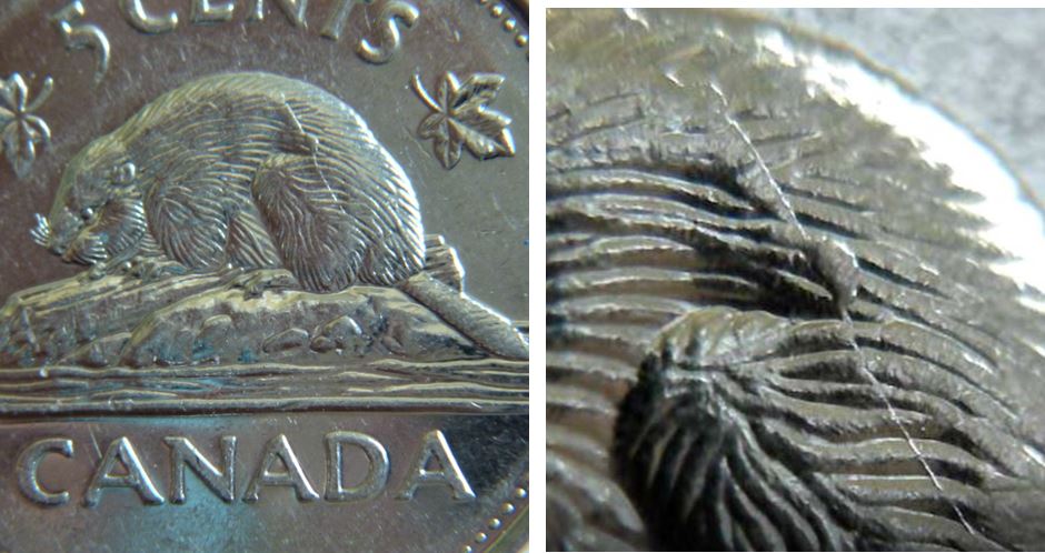 5 Cents 2002p-Coin fendillé sur le dos du castor.1.JPG