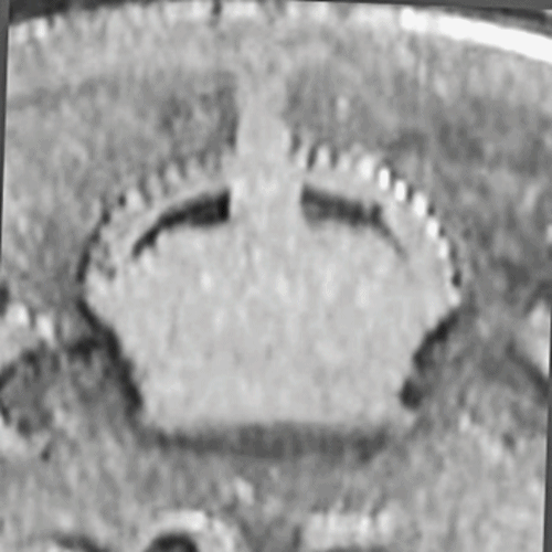 anigifQ1910.gif