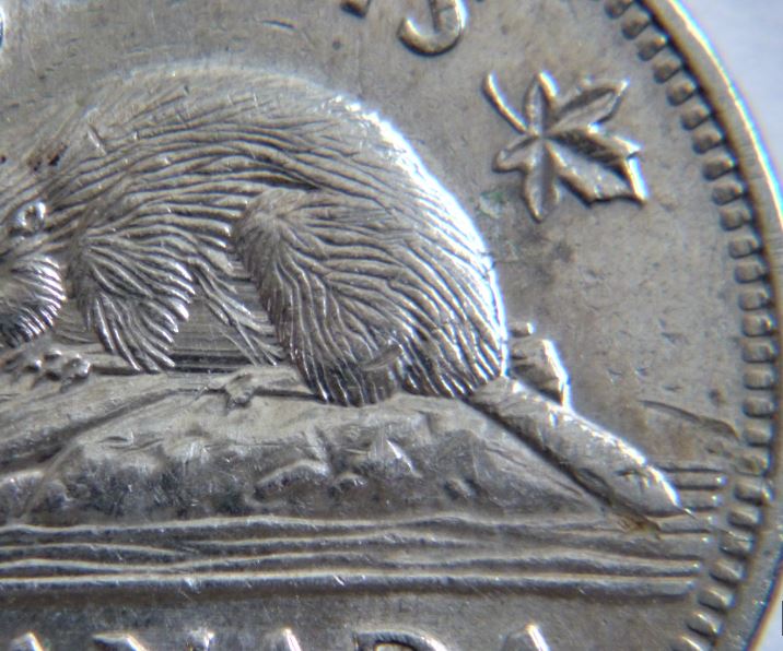 5 Cents 1990-Bare belley+ Coin fendillé au bout de la queue-2.JPG
