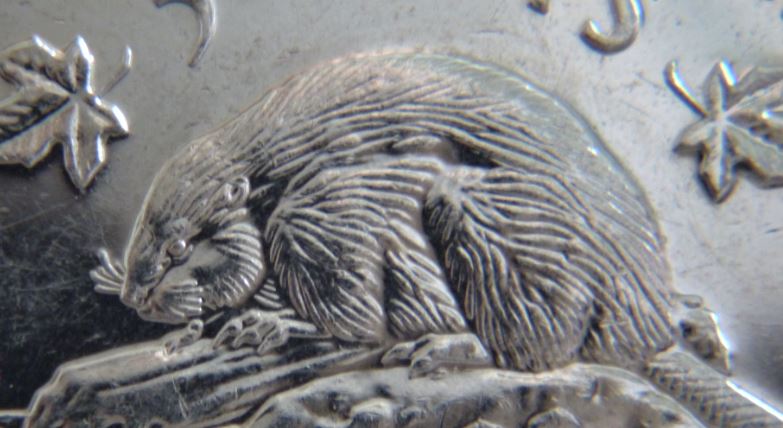 5 Cents 2011-Polisage du coin sur le flan du castor-2.JPG