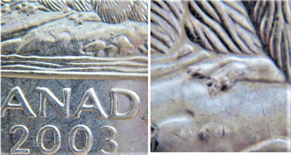 5 Cents 2003P- Griffe additionnel-Éclat de coin-1.JPG