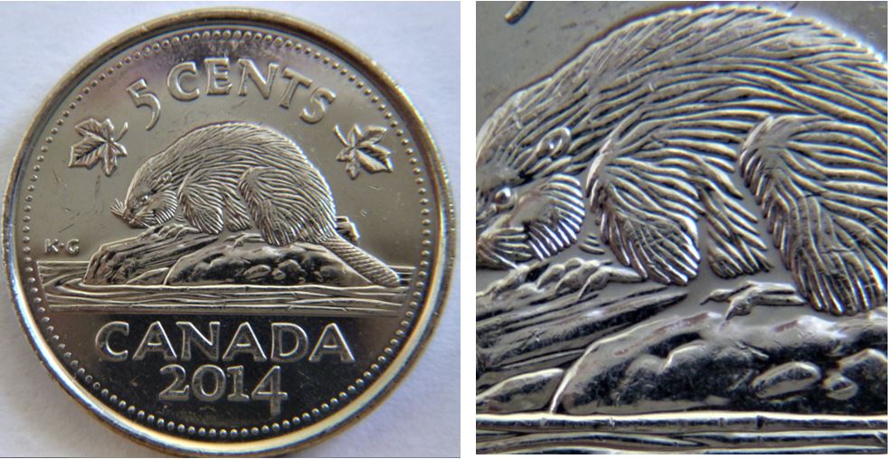 5 Cents 2014-Manque de fourrure-1.JPG